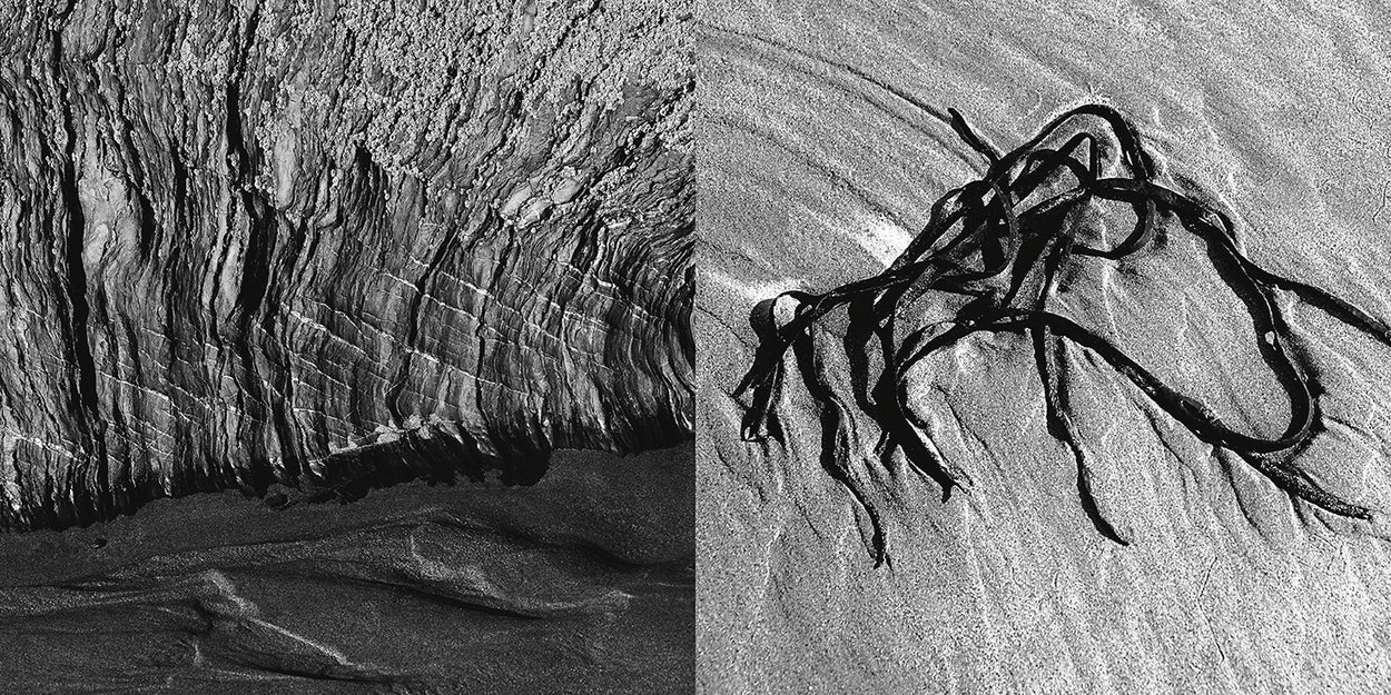 Photograph of rock formation (L) and seaweed (R) - Body Rock Sand by Ian Jacob book cover - art photography book