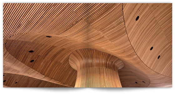 Senedd: The National Assembly for Wales building designed by Richard Rogers, words by Travor Fishlock photographs by Andrew Molyneux